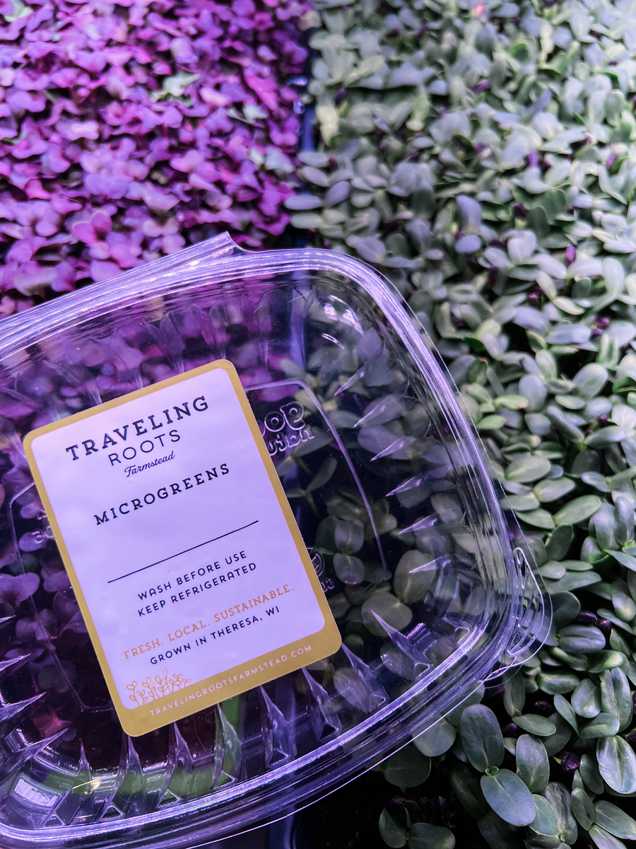 Fresh Microgreens grown in Theresa Wisconsin