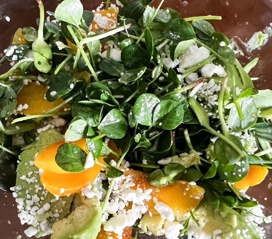 Microgreen Salad Microgreen Salad