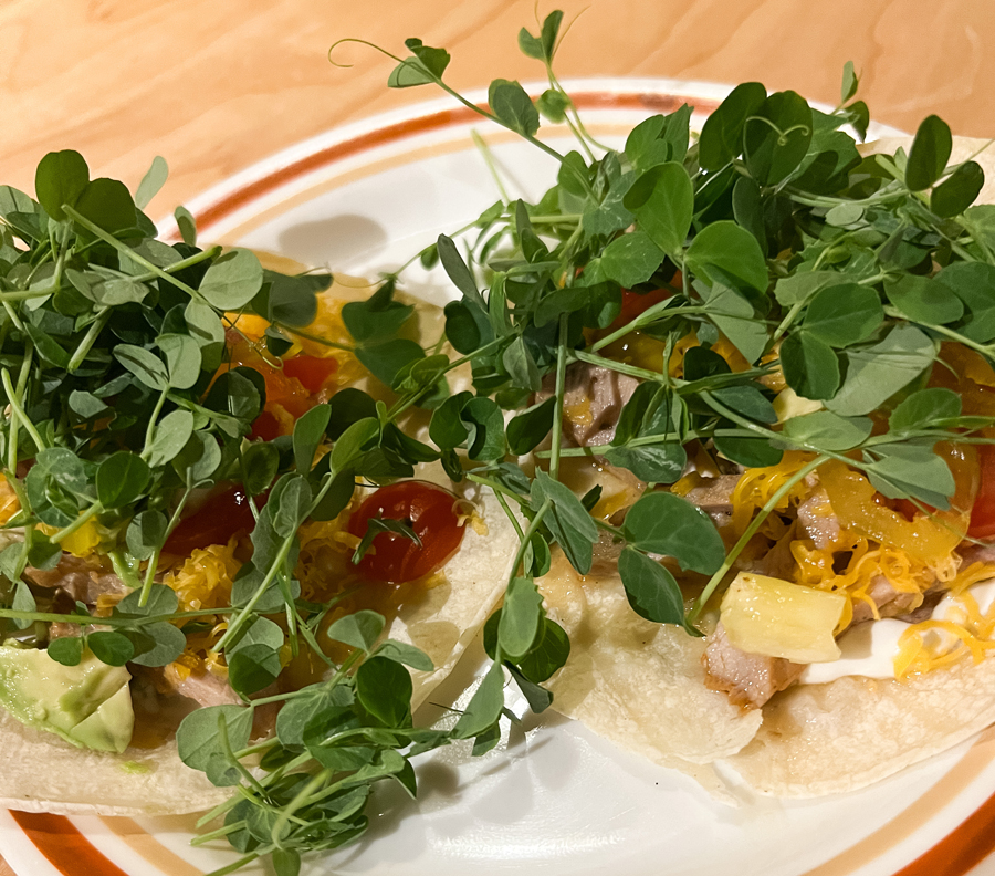 Microgreen Taco Microgreen Taco