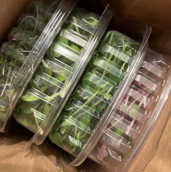 Bi-Weekly Microgreens Subscription